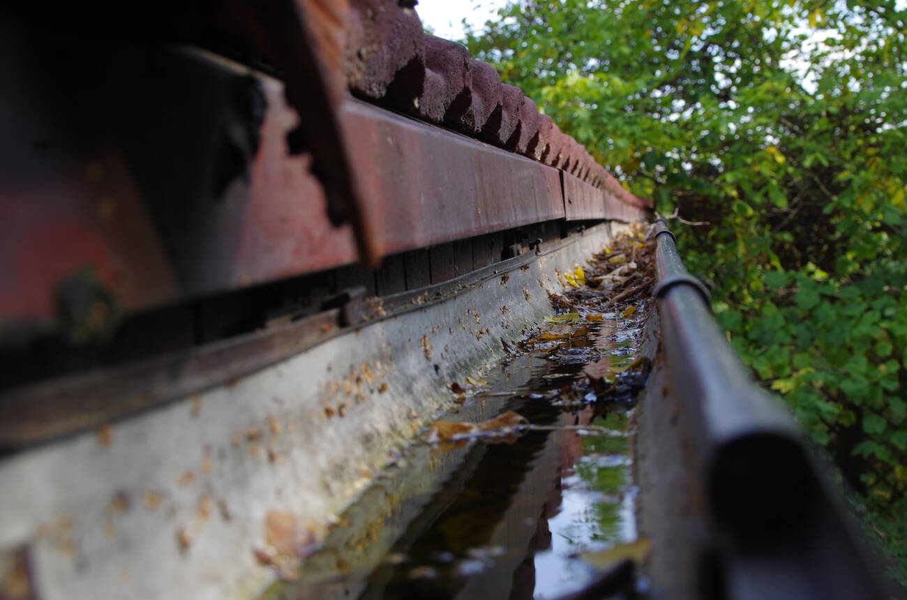 clogged gutter