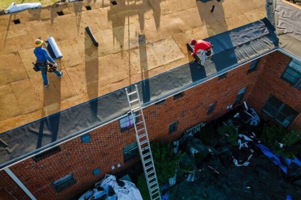 shingle roof replacement