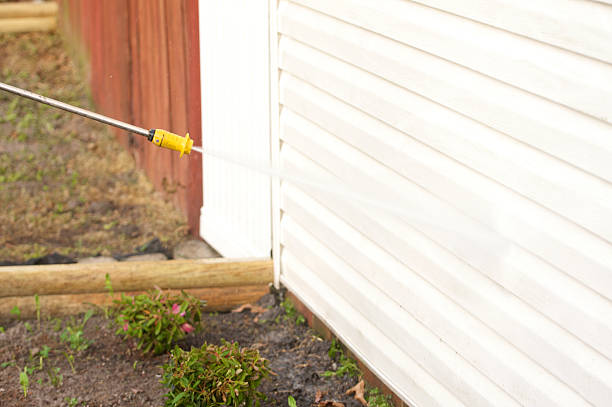 House power washing near me service cleaning siding with a pressure washer