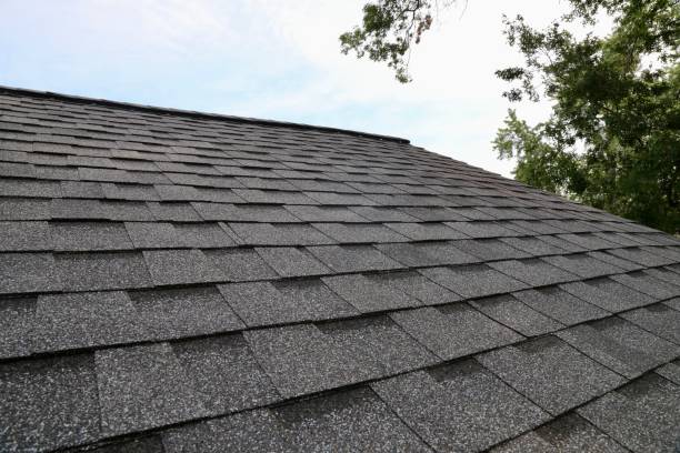 asphalt shingles