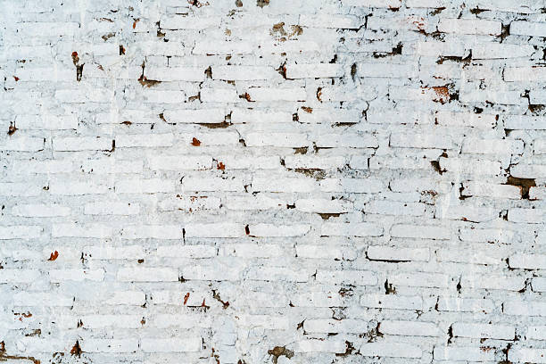 Close-up of a deteriorating brick wall with cracked mortar, white efflorescence, and small plants growing between bricks.