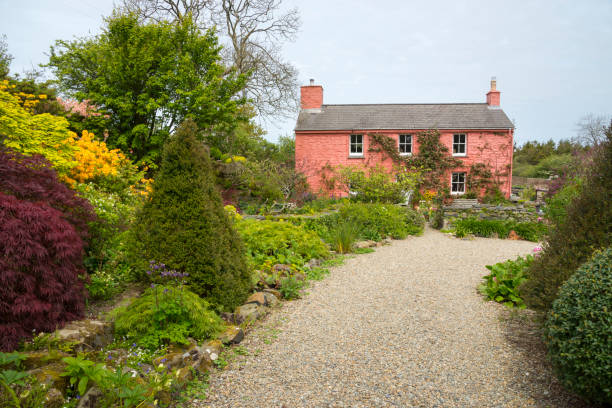 A gravel driveway winding through a lush garden, leading to a charming pink house surrounded by vibrant green plants and colorful flowers.