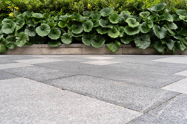 Stone sidewalk with large green leafy plants along a landscaped edge.
