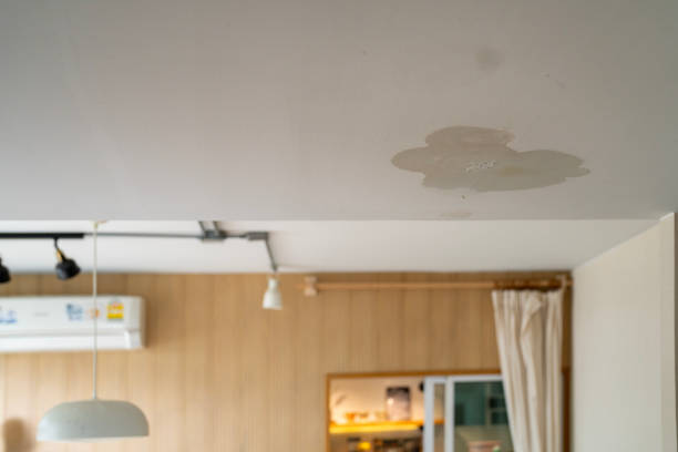 Water stain on a white ceiling caused by roof leakage.