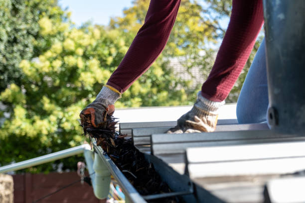 Professional gutter service in nyc