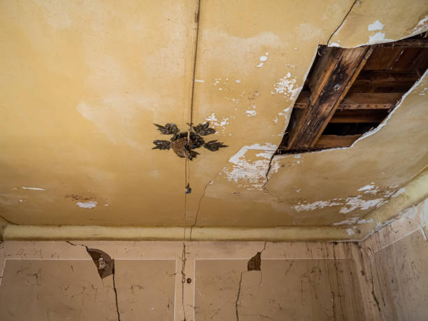 old stucco ceiling asbestos damage in NYC home with cracks and peeling paint
