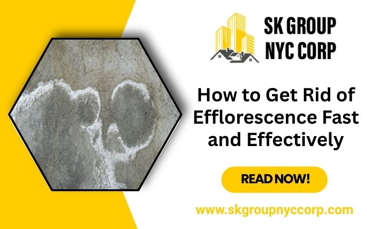 How to Get Rid of Efflorescence